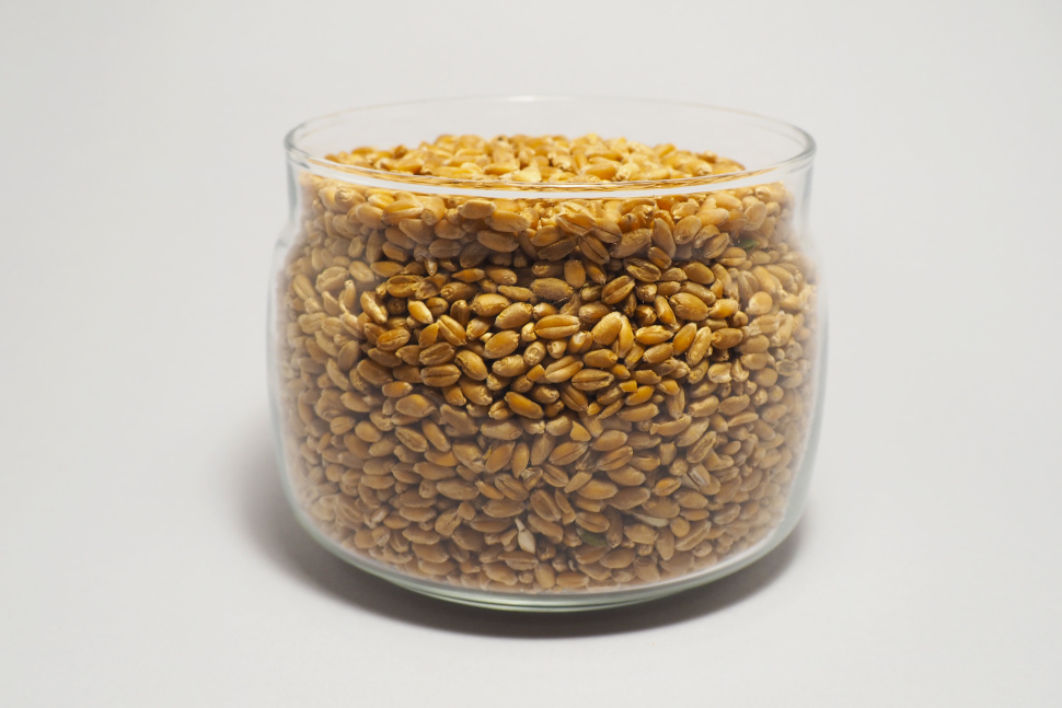 Пшеница зерно, 10 кг